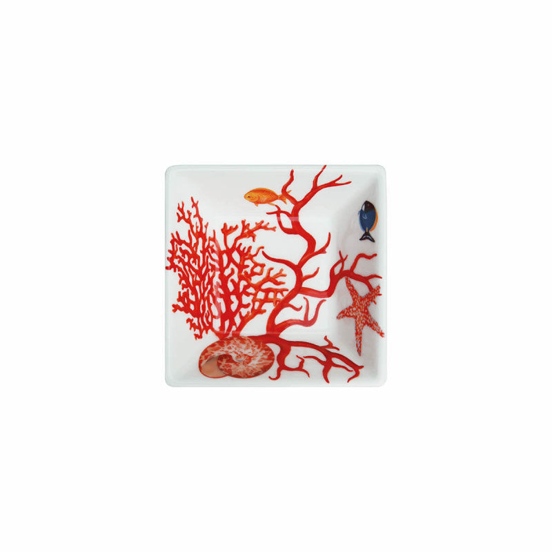 Taitù ciotolina quadrata Mare porcellana fine bone china 12-3-14