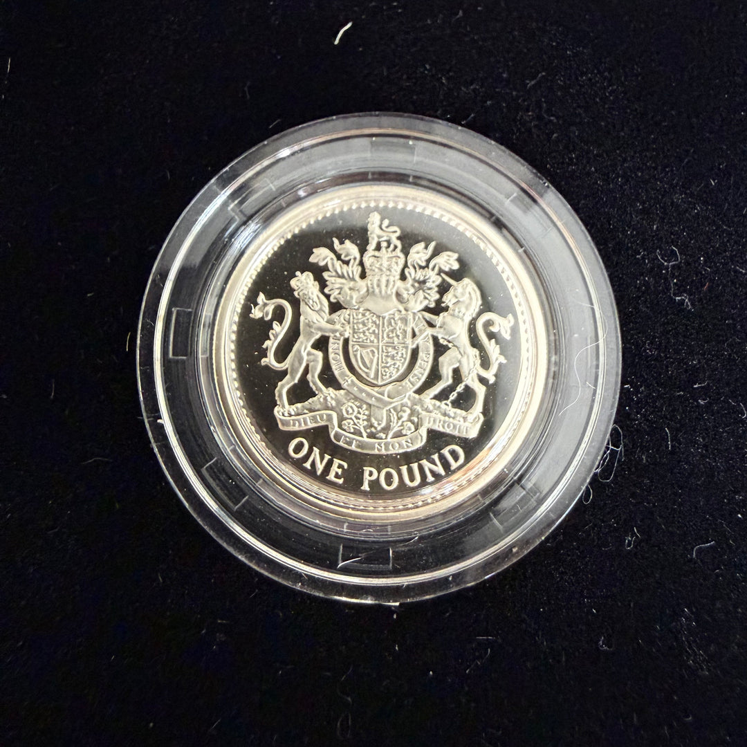 Moneta 1 sterlina argento 1993 Royal Mint