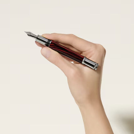 Montblanc stilografica Writers Edition Homage to Bram Stoker Edizione Limitata punta M 133418